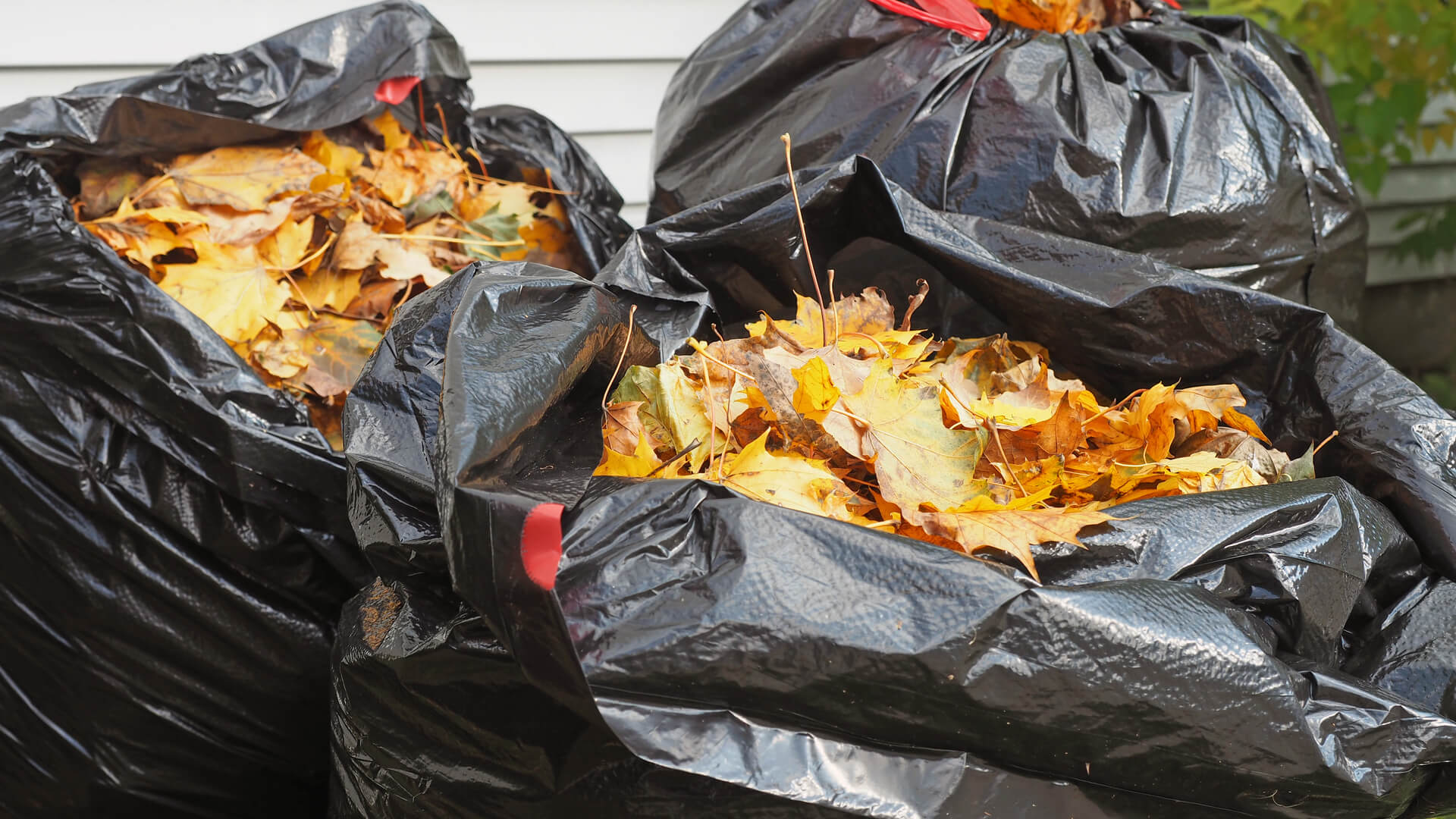 Rubbish Removal Canterbury