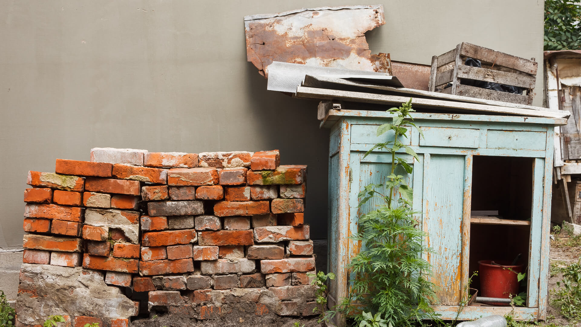 Backyard Rubbish Removal Service