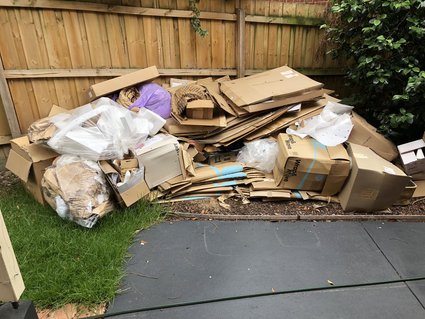 Before Cardboard Removals