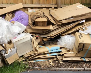 The Role of Rubbish Removal in Pest Prevention & Home Hygiene