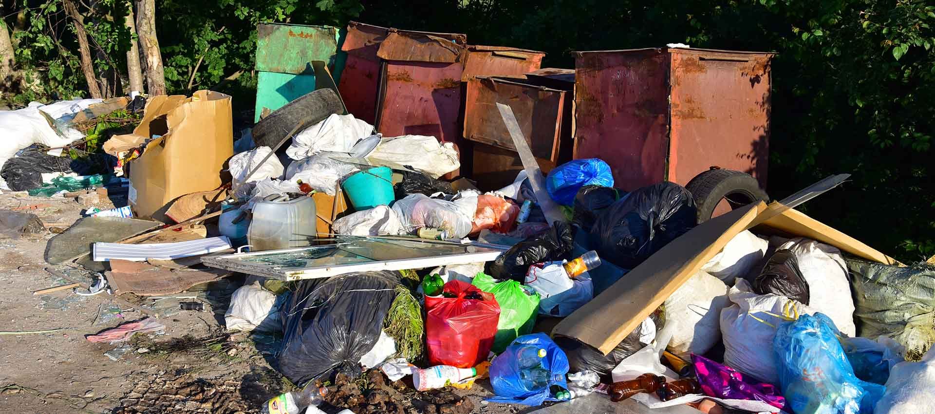 The Health Risks of Hoarded Junk and How to Tackle it Safely